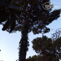 фото из отзыва ID 1845426