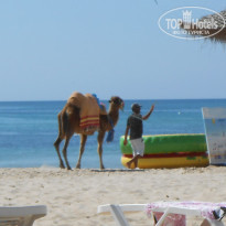 фото из отзыва ID 1845488