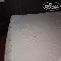 фото из отзыва ID 1845592