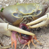 фото из отзыва ID 1845653