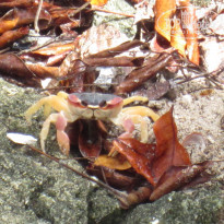 фото из отзыва ID 1845653