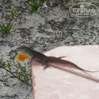 фото из отзыва ID 1845653