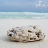 фото из отзыва ID 1845653