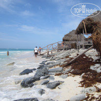 фото из отзыва ID 1845653