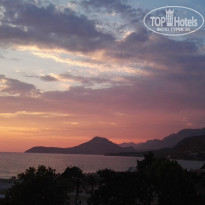 фото из отзыва ID 1845623