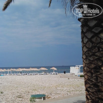 фото из отзыва ID 1845623