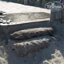 фото из отзыва ID 1845668