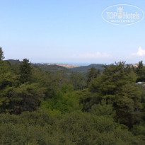 фото из отзыва ID 1845702