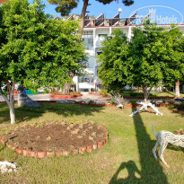 фото из отзыва ID 1845687