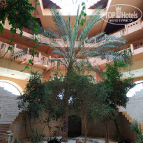 фото из отзыва ID 1845821