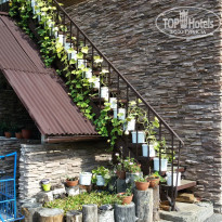 фото из отзыва ID 1845840