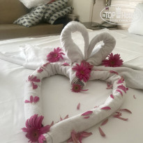 фото из отзыва ID 1845878