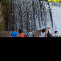 фото из отзыва ID 1846076