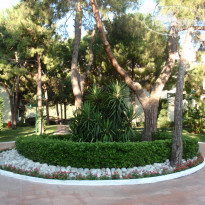 фото из отзыва ID 1846100