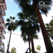 фото из отзыва ID 1846107