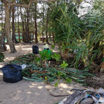 фото из отзыва ID 1846106