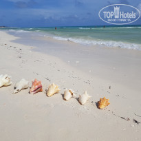 фото из отзыва ID 1846146