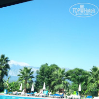 фото из отзыва ID 1846248