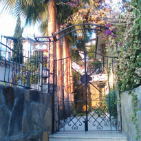 фото из отзыва ID 1846405