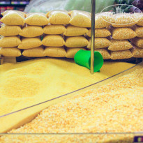 фото из отзыва ID 1846562