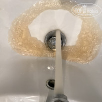 фото из отзыва ID 1846596