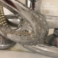 фото из отзыва ID 1846596