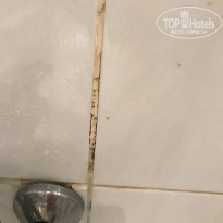 фото из отзыва ID 1846596