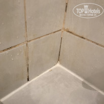 фото из отзыва ID 1846596