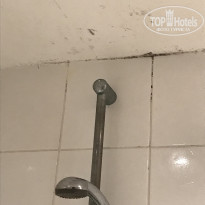 фото из отзыва ID 1846596