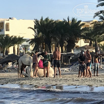 фото из отзыва ID 1846596