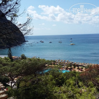 фото из отзыва ID 1846535