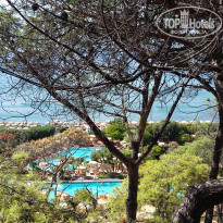 фото из отзыва ID 1846535