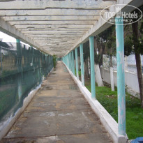 фото из отзыва ID 1846736