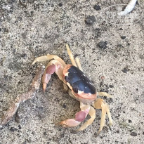 фото из отзыва ID 1846750