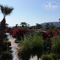 фото из отзыва ID 1844502