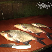 фото из отзыва ID 1846954