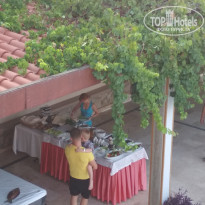 фото из отзыва ID 1847027