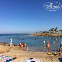 фото из отзыва ID 1847097