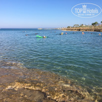 фото из отзыва ID 1847097