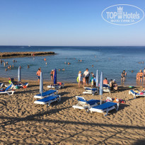 фото из отзыва ID 1847097