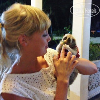 фото из отзыва ID 1847206