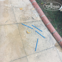 фото из отзыва ID 1847256