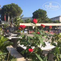 фото из отзыва ID 1847304