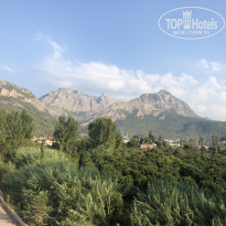 фото из отзыва ID 1847364