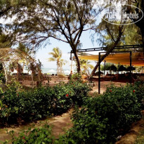 фото из отзыва ID 1847375