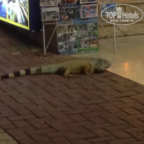 фото из отзыва ID 1847397