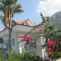 фото из отзыва ID 1847413