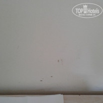 фото из отзыва ID 1847502