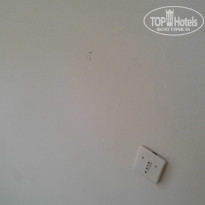 фото из отзыва ID 1847502