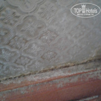 фото из отзыва ID 1847502